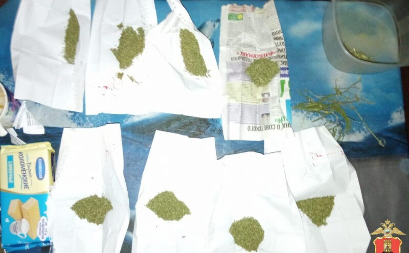 В квартире у жителя Тверской области нашли коноплю