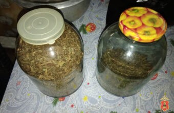 У жителя Тверской области нашли трёхлитровые банки с марихуаной У жителя Тверской области нашли трёхлитровые банки с марихуаной