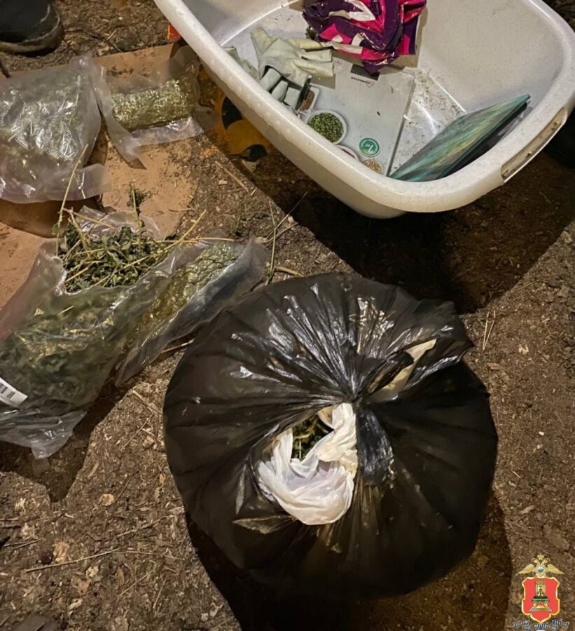 В Тверской области ликвидирована ферма по культивированию марихуаны