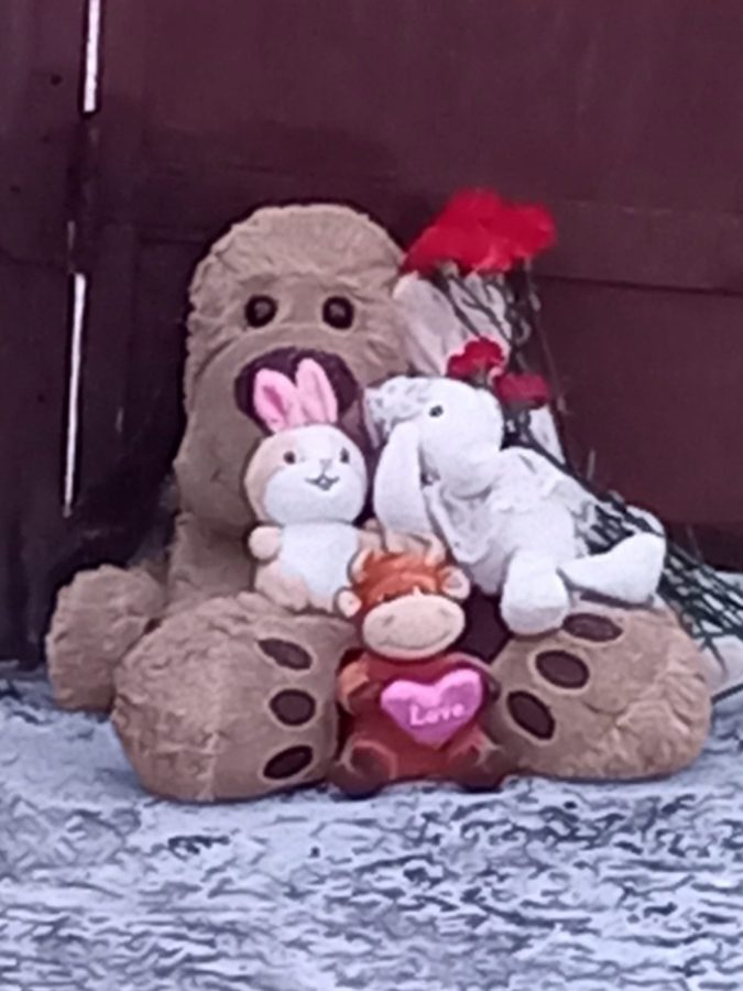 После гибели 4 человек в пожаре жители Тверской области организовали мемориал