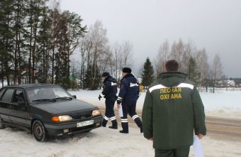 «Ёлочка»: в Тверской области ищут нелегальных лесорубов «Ёлочка»: в Тверской области ищут нелегальных лесорубов