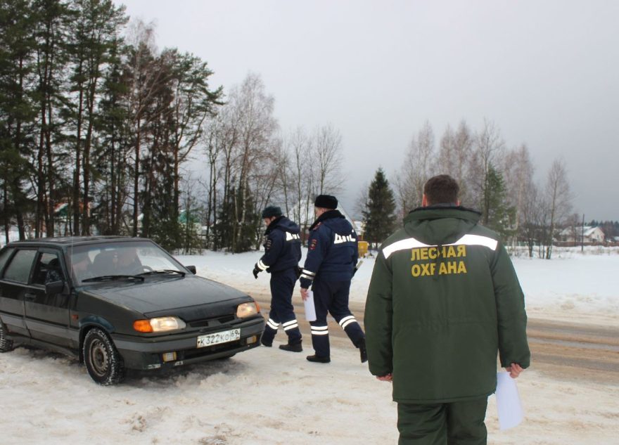 «Ёлочка»: в Тверской области ищут нелегальных лесорубов