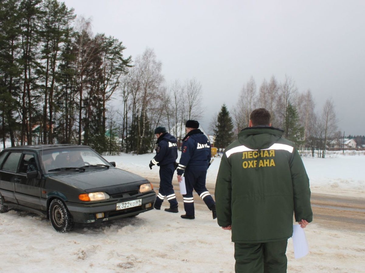 «Ёлочка»: в Тверской области ищут нелегальных лесорубов