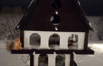 В Тверской области построили многоэтажный дом для птиц