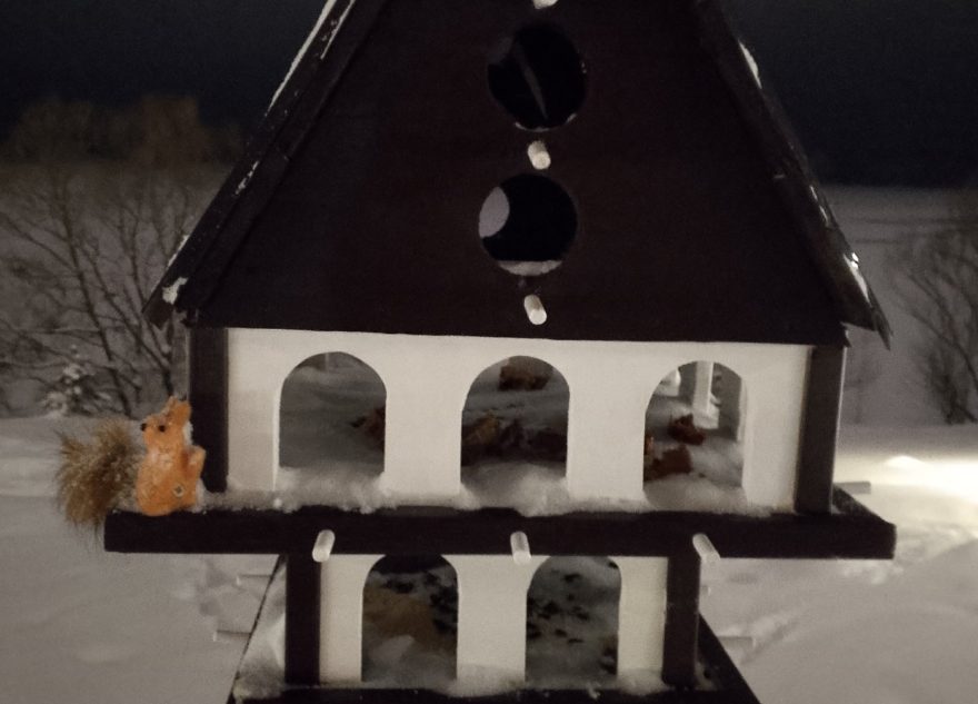 В Тверской области построили многоэтажный дом для птиц