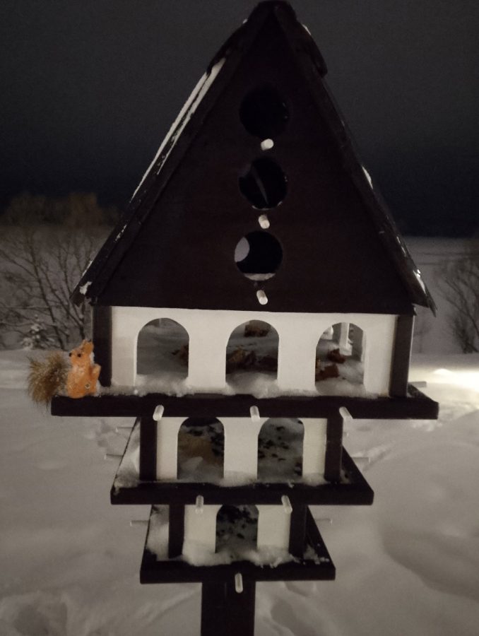 В Тверской области построили многоэтажный дом для птиц