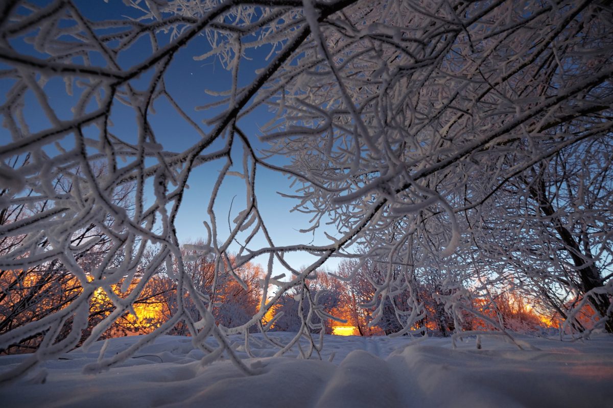 Синоптик Роман Вильфанд дал свой прогноз на новогоднюю ночь в Тверской области