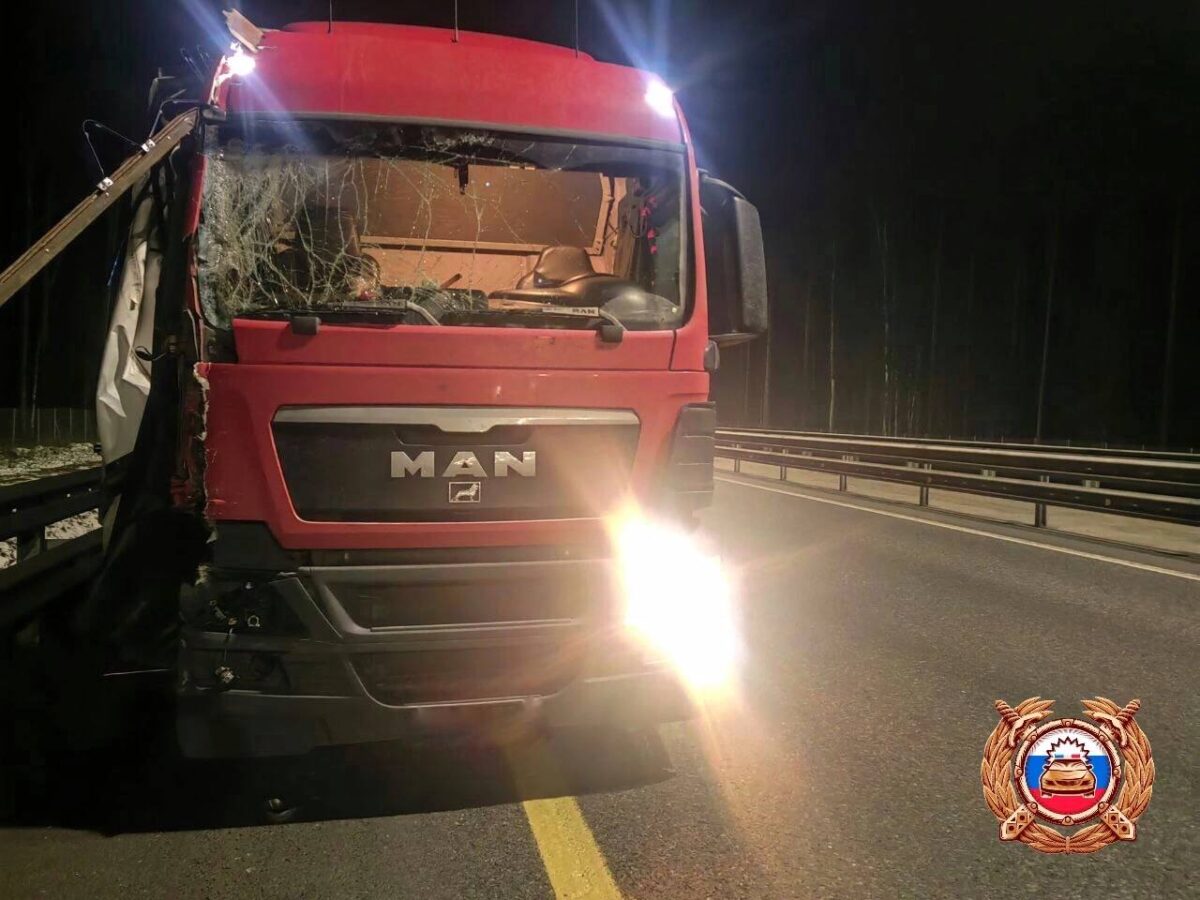 В Тверской области при столкновении большегруза и Газели пострадали два пешехода В Тверской области при столкновении большегруза и Газели пострадали два пешехода