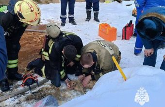 В Тверской области сотрудники МЧС не смогли спасти двух котов в пожаре В Тверской области сотрудники МЧС не смогли спасти двух котов в пожаре