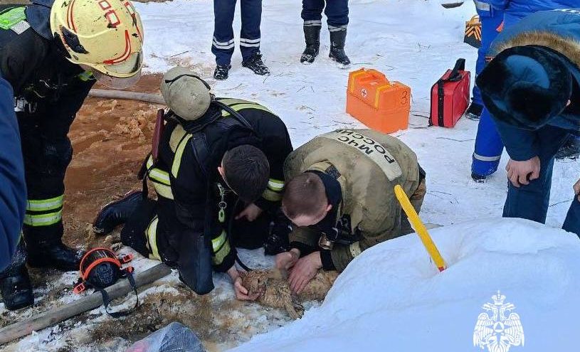 В Тверской области сотрудники МЧС не смогли спасти двух котов в пожаре В Тверской области сотрудники МЧС не смогли спасти двух котов в пожаре