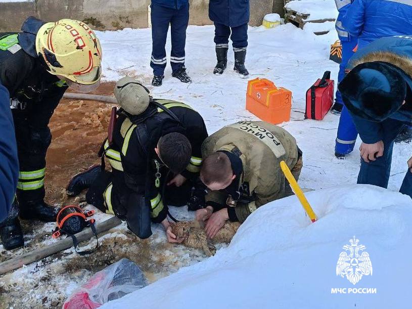 В Тверской области сотрудники МЧС не смогли спасти двух котов в пожаре