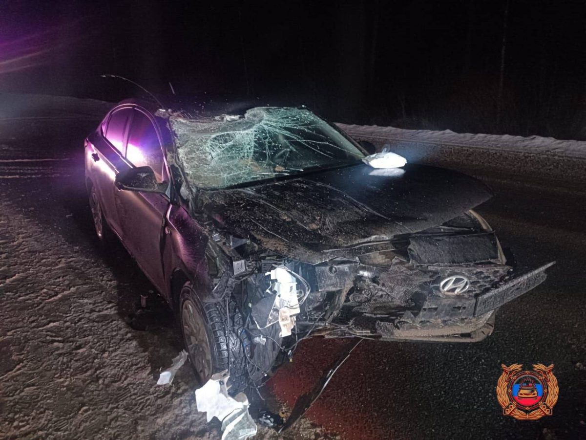 В Тверской области иномарка столкнулась с грузовиком