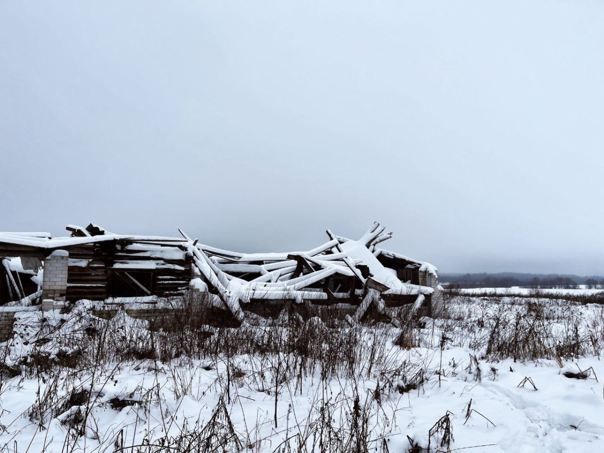 Тело мужчины нашли на территории заброшенной фермы в Тверской области