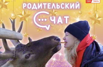 Родительский чат: новогодняя сказка Родительский чат: новогодняя сказка