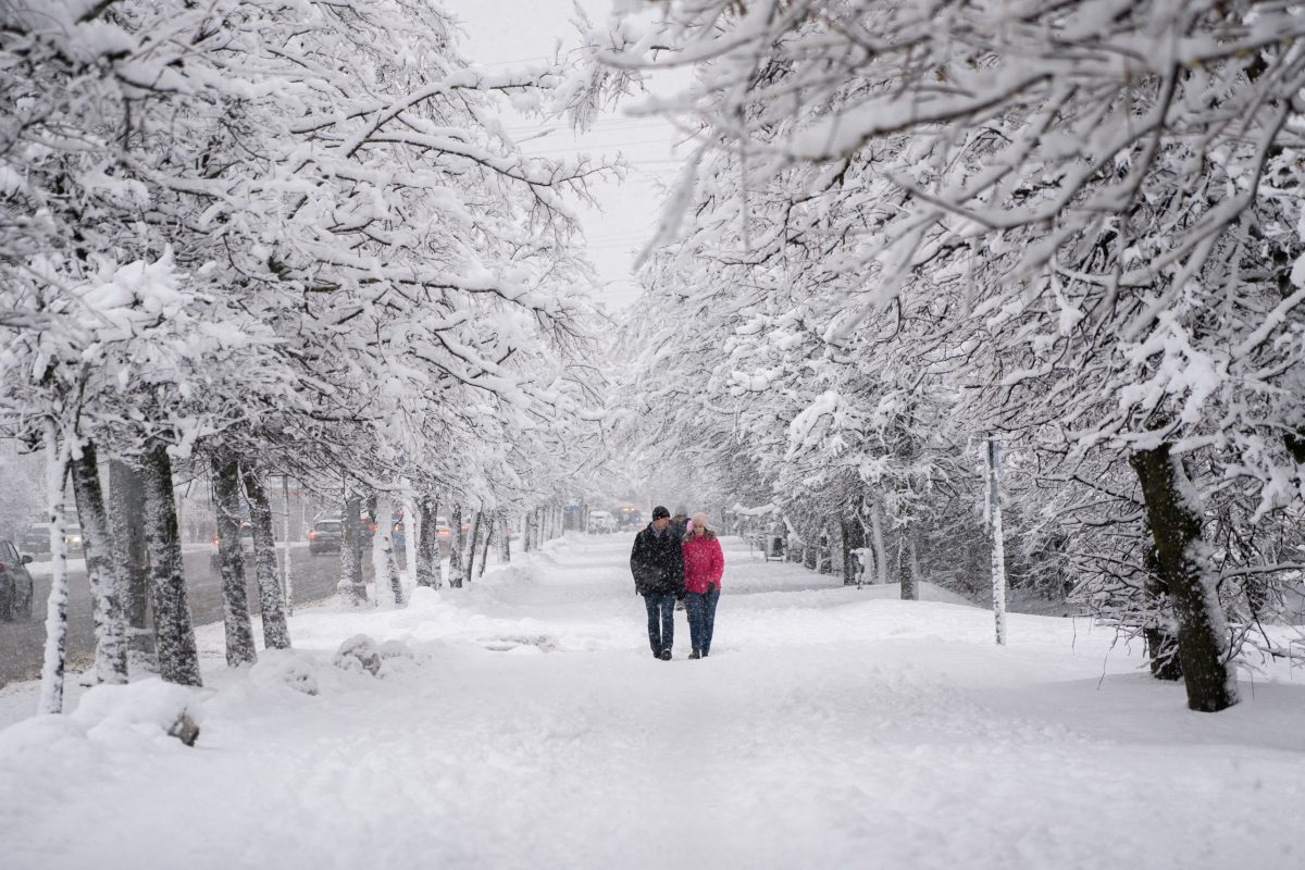 В Тверскую область идут аномальные морозы
