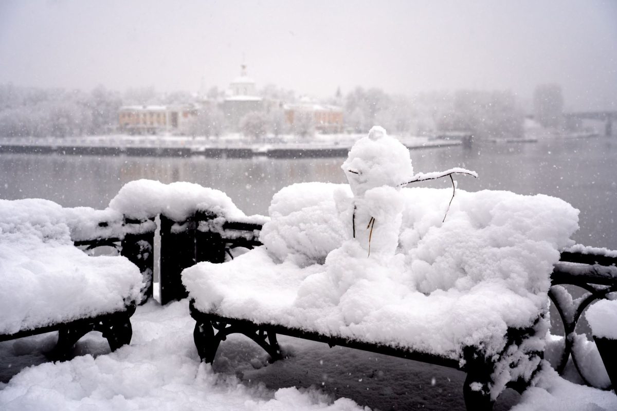Врач-терапевт объяснила, почему нельзя есть снег
