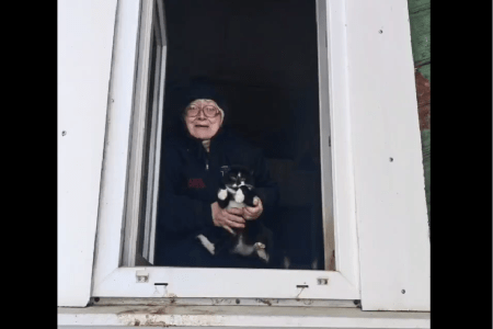 В Тверской области бабушка не уезжает в город из-за кошек и собак В Тверской области бабушка не уезжает в город из-за кошек и собак