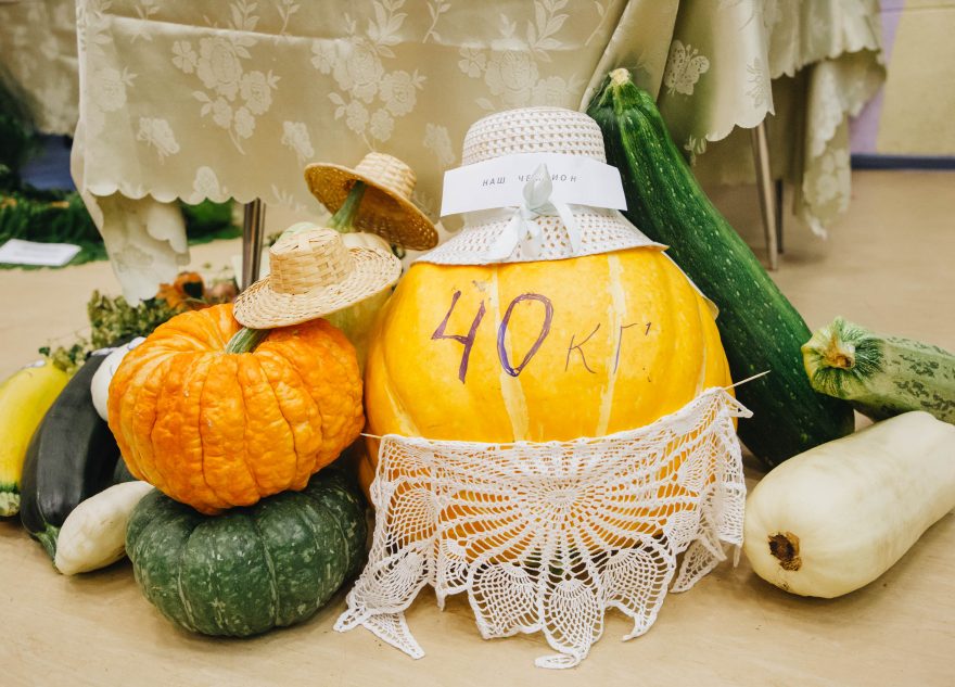 Врач рассказала, как тыква влияет на сердце