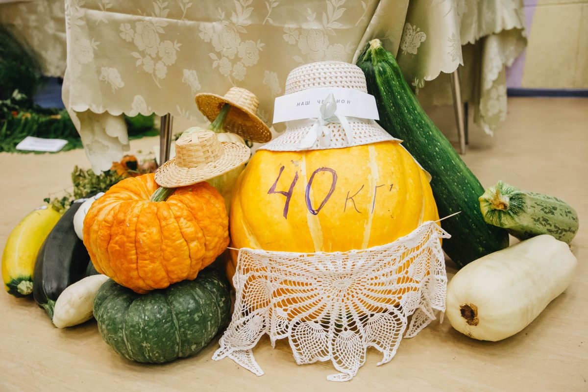 Врач рассказала, как тыква влияет на сердце Врач рассказала, как тыква влияет на сердце