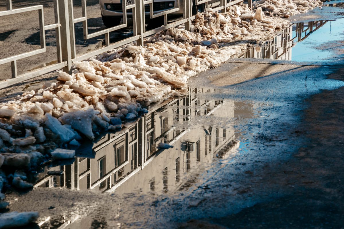 В Тверскую область идет весна