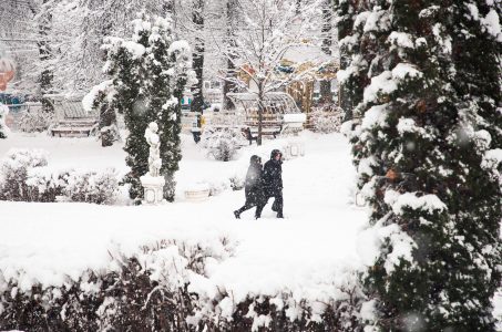 В новогоднюю ночь Тверскую область заметет снегом