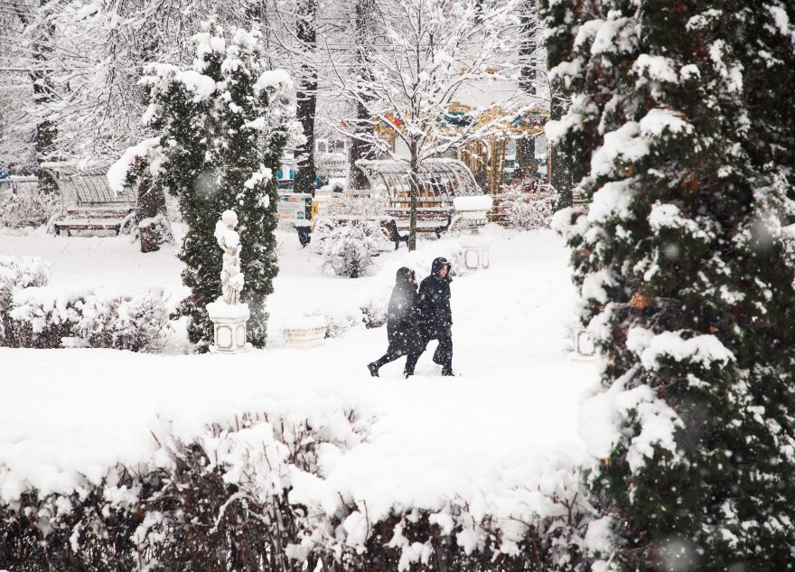 В новогоднюю ночь Тверскую область заметет снегом