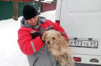 В Тверской области служба отлова животных борется с любителями самовыгула В Тверской области служба отлова животных борется с любителями самовыгула