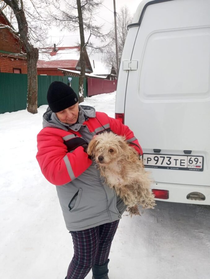 В Тверской области служба отлова животных борется с любителями самовыгула