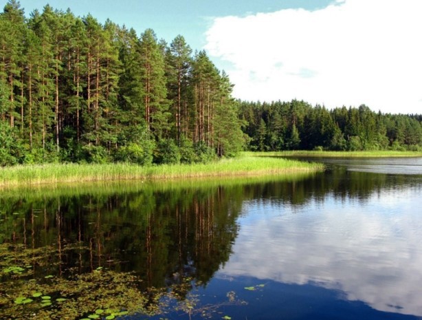 В Тверской области продолжается работа по утверждению границ особо охраняемых природных территорий