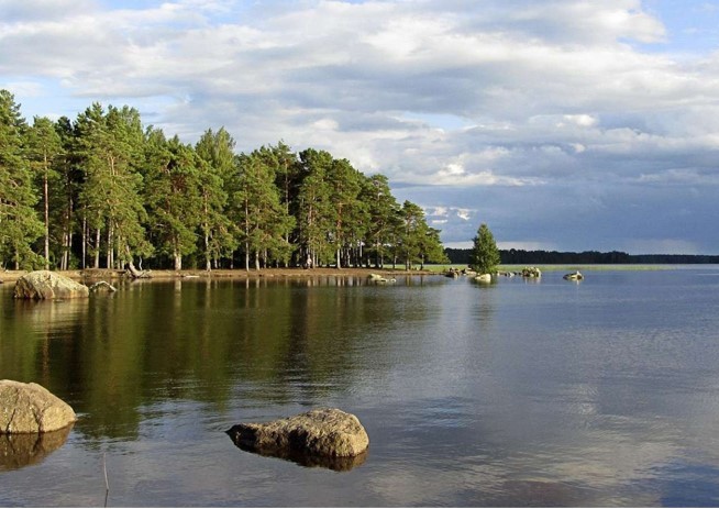 В Тверской области продолжается работа по утверждению границ особо охраняемых природных территорий