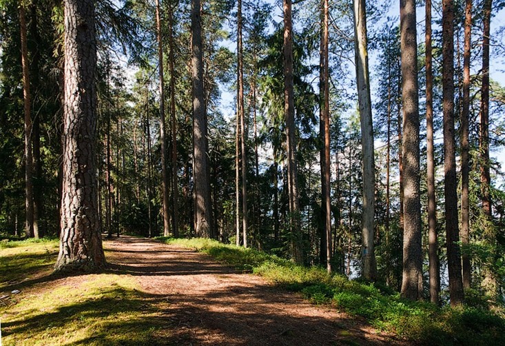 В Тверской области продолжается работа по утверждению границ особо охраняемых природных территорий
