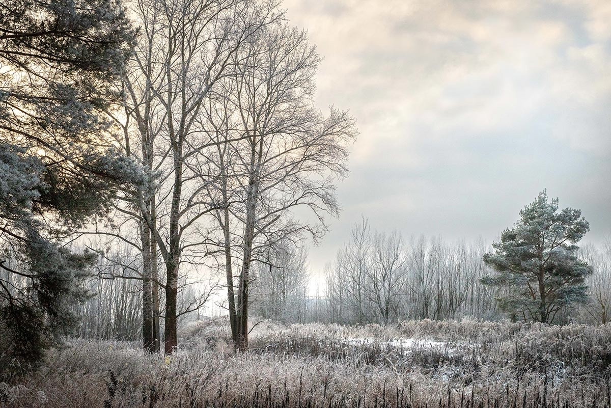 В Гидрометцентре пообещали жителям Тверской области сильные морозы В Гидрометцентре пообещали жителям Тверской области сильные морозы