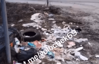 В одном из городов в Тверской области вообще не вывозится мусор В одном из городов в Тверской области вообще не вывозится мусор