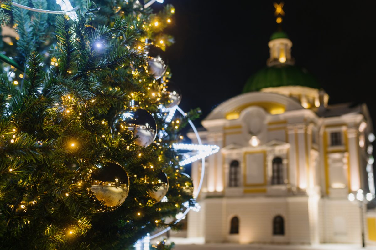 В Госдуме предложили оплатить новогодние праздники