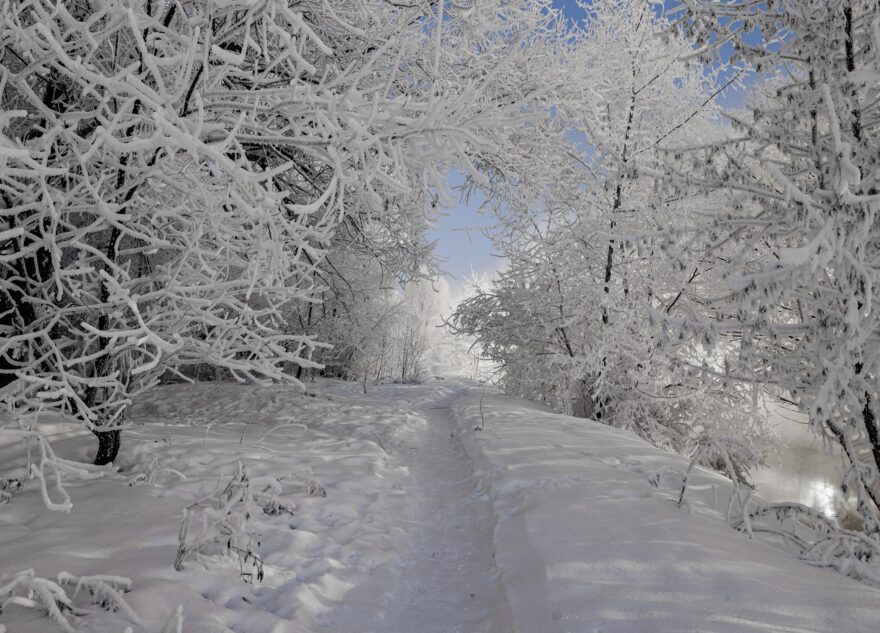 В Тверскую область приходят первые настоящие морозы