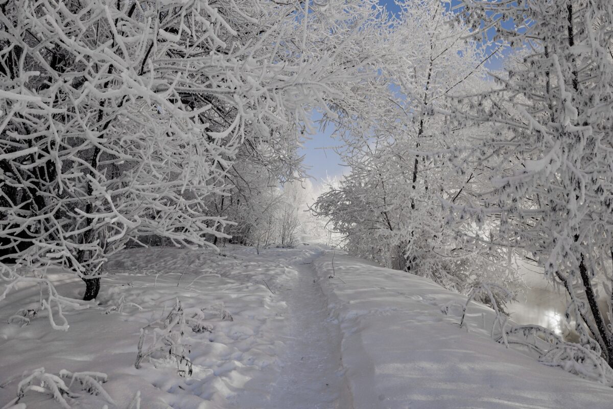 В Тверскую область приходят первые настоящие морозы