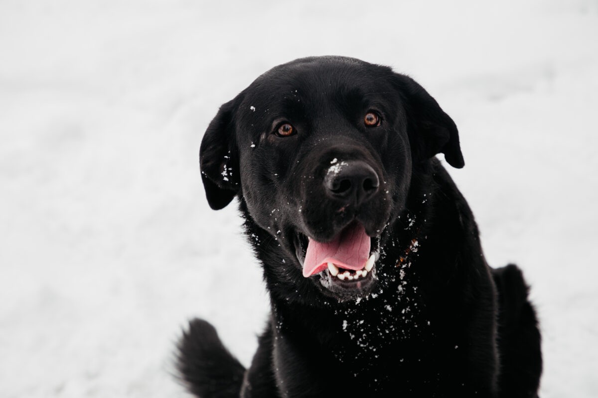 Жительница Тверской области поблагодарила молодого человека, спасшего ее ребенка