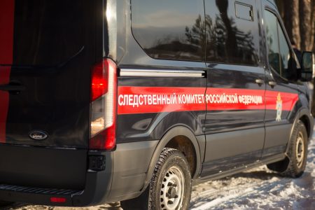 В Тверской области стая собак держит в страхе полгорода В Тверской области стая собак держит в страхе полгорода