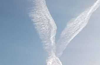 В Крещение жители Тверской области увидели в небе большие крылья В Крещение жители Тверской области увидели в небе большие крылья