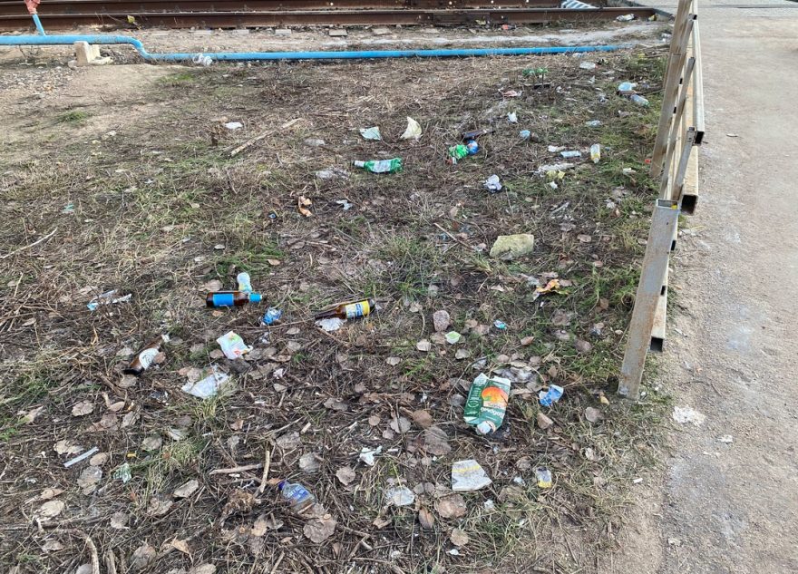 Жители Тверской области ужасаются от вида мусора на дорогах