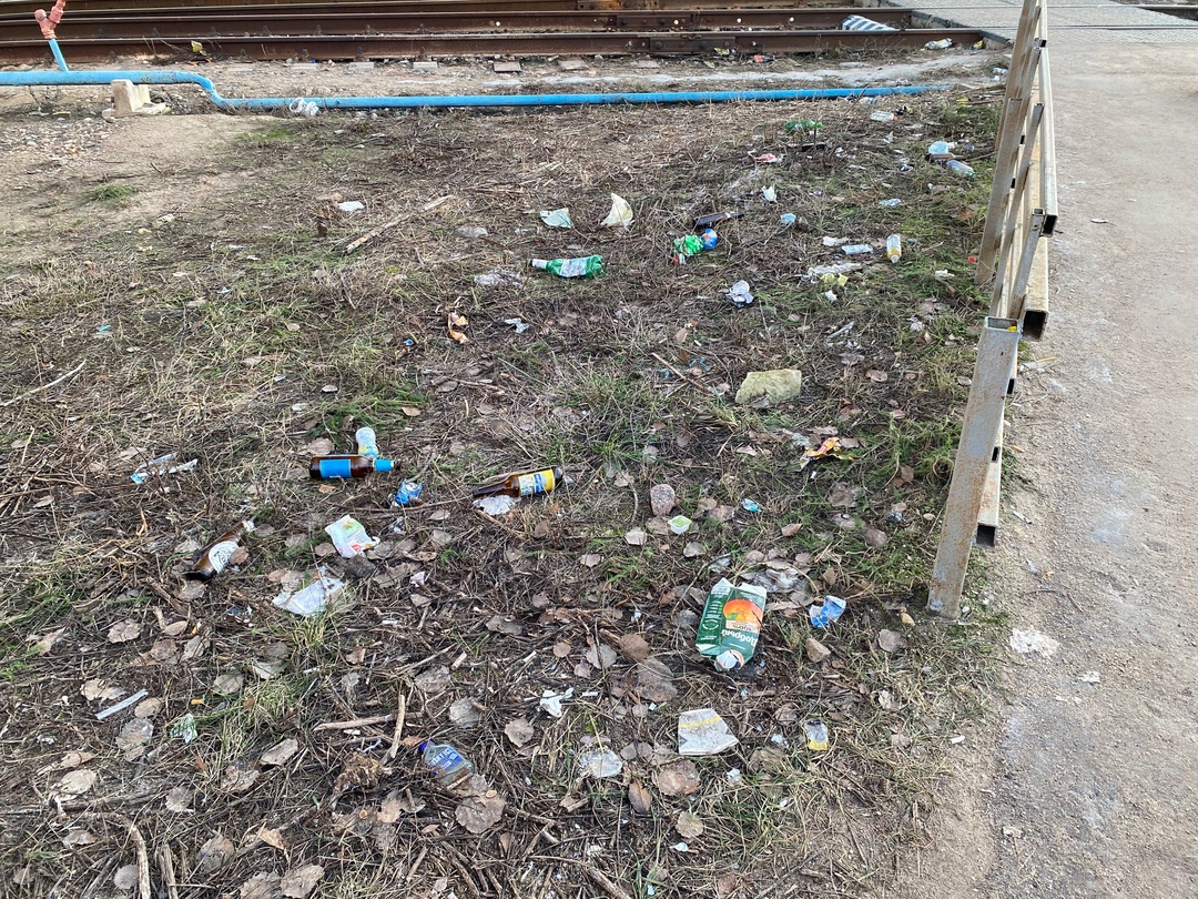 Жители Тверской области ужасаются от вида мусора на дорогах