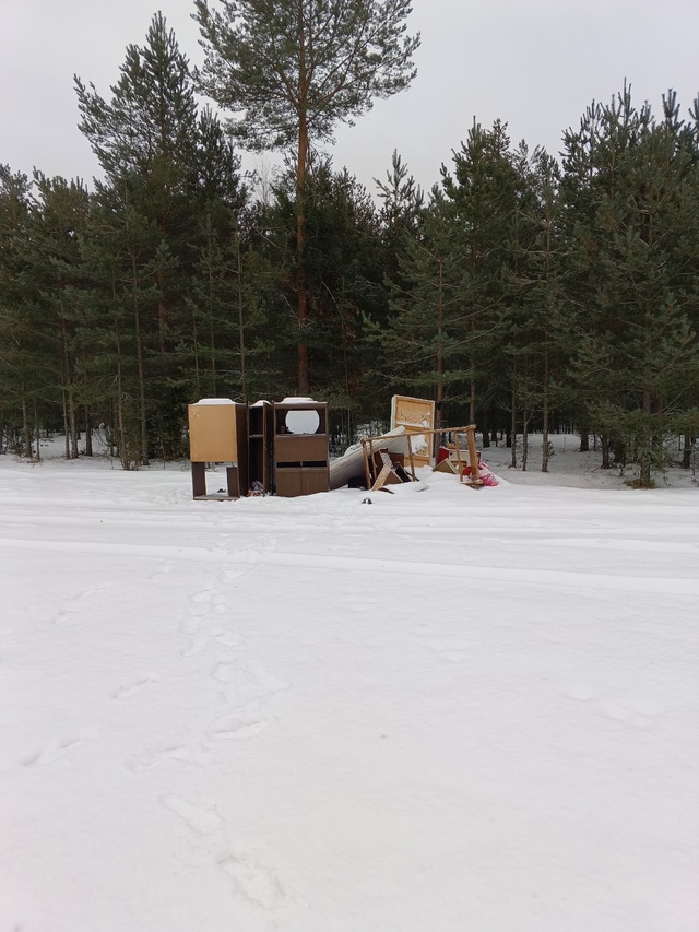 В лесу Тверской области обнаружили мебельный склад