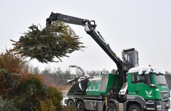 Эксперты рассказали, куда деть ненужную новогоднюю ёлку после праздников Эксперты рассказали, куда деть ненужную новогоднюю ёлку после праздников