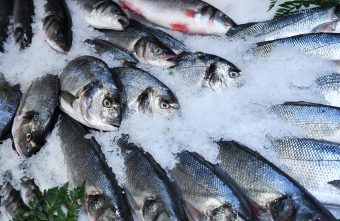 В Тверской области мужчина незаконно вылавливал из озера рыбу В Тверской области мужчина незаконно вылавливал из озера рыбу