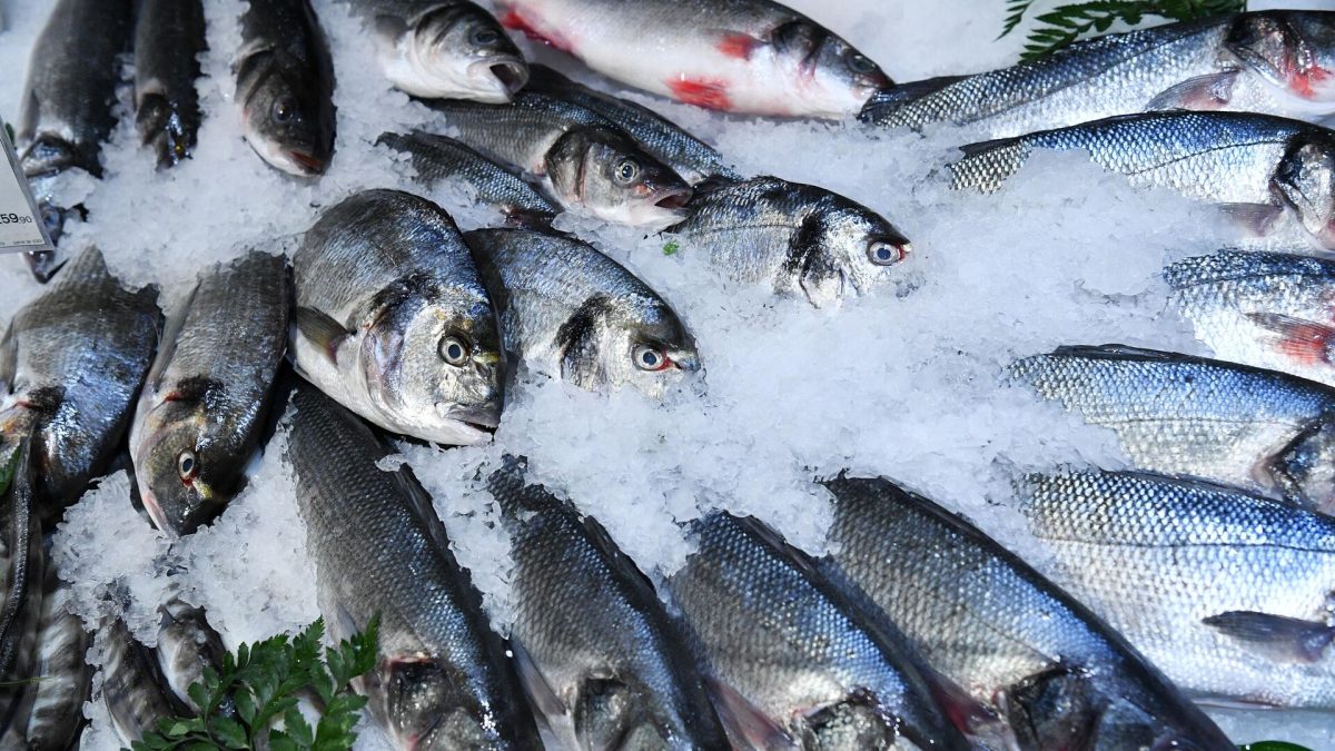 В Тверской области мужчина незаконно вылавливал из озера рыбу