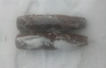 Два артиллерийских снаряда времён войны обезвредили в Тверской области