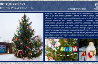 Жители Тверской области могут поддержать Верхневолжье в финале конкурса на лучшую новогоднюю ёлку Жители Тверской области могут поддержать Верхневолжье в финале конкурса на лучшую новогоднюю ёлку