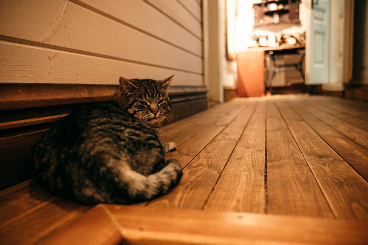 Фотограф из Твери поделилась впечатлениями от посещения музея в Удомле