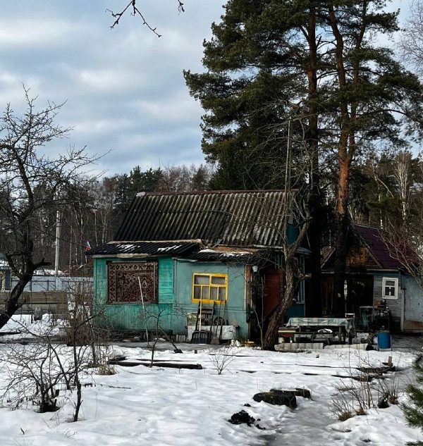 В Тверской области в СНТ найдены тела двух убитых людей