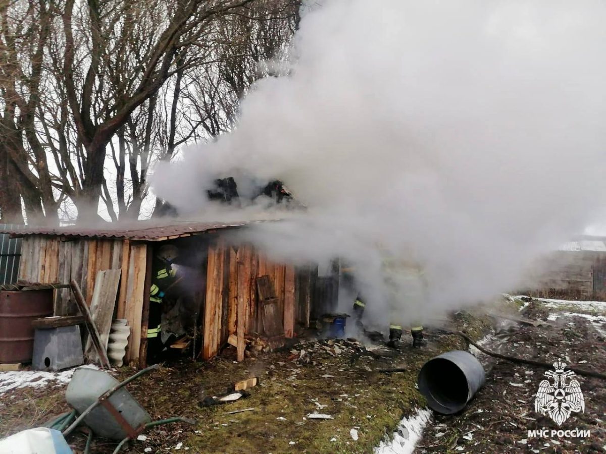 В Тверской области всего за час потушили деревянную баню В Тверской области всего за час потушили деревянную баню